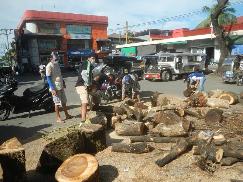 Chainsaw Gospel: How a Slab of Douglas Fir Became the Loudest Tradition in American Soccer